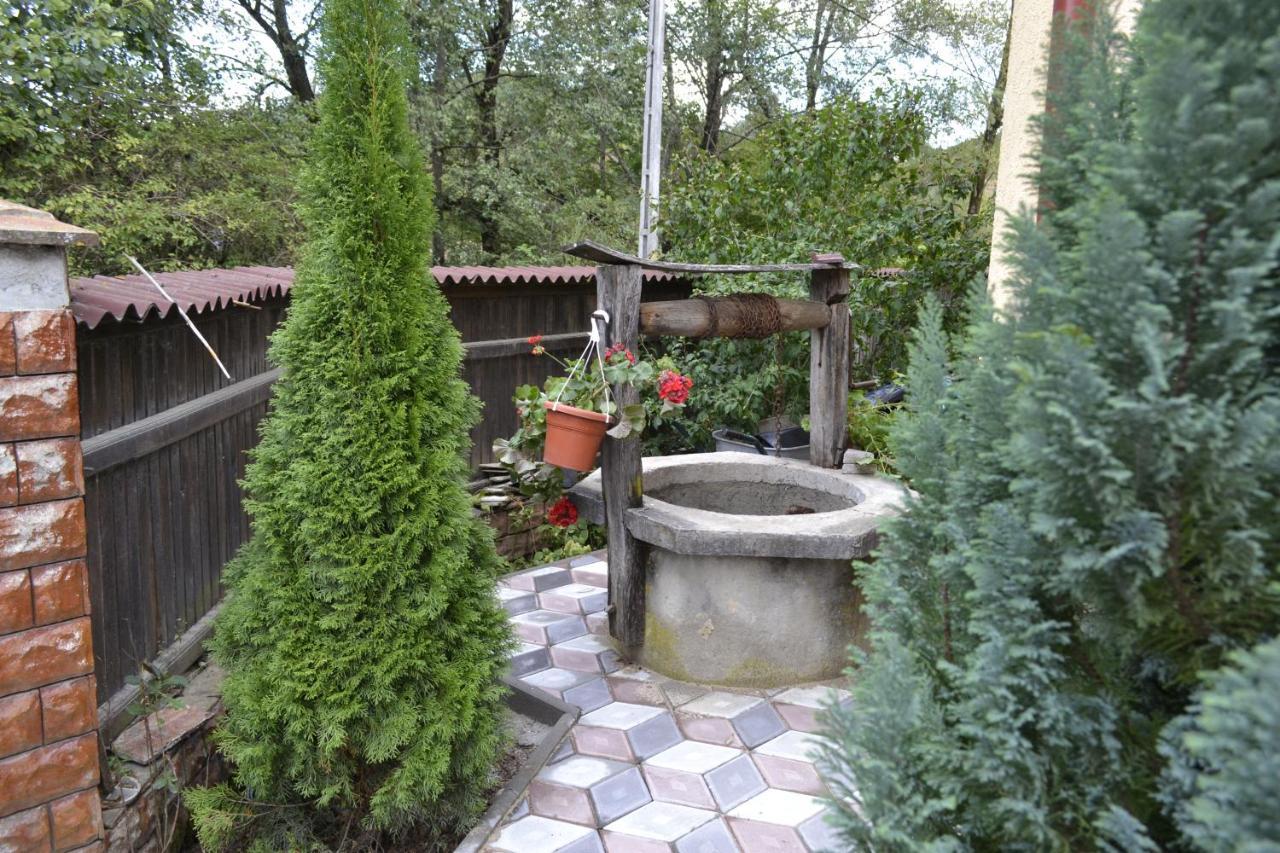 Pensiunea Malinul Bîrsana Exterior foto