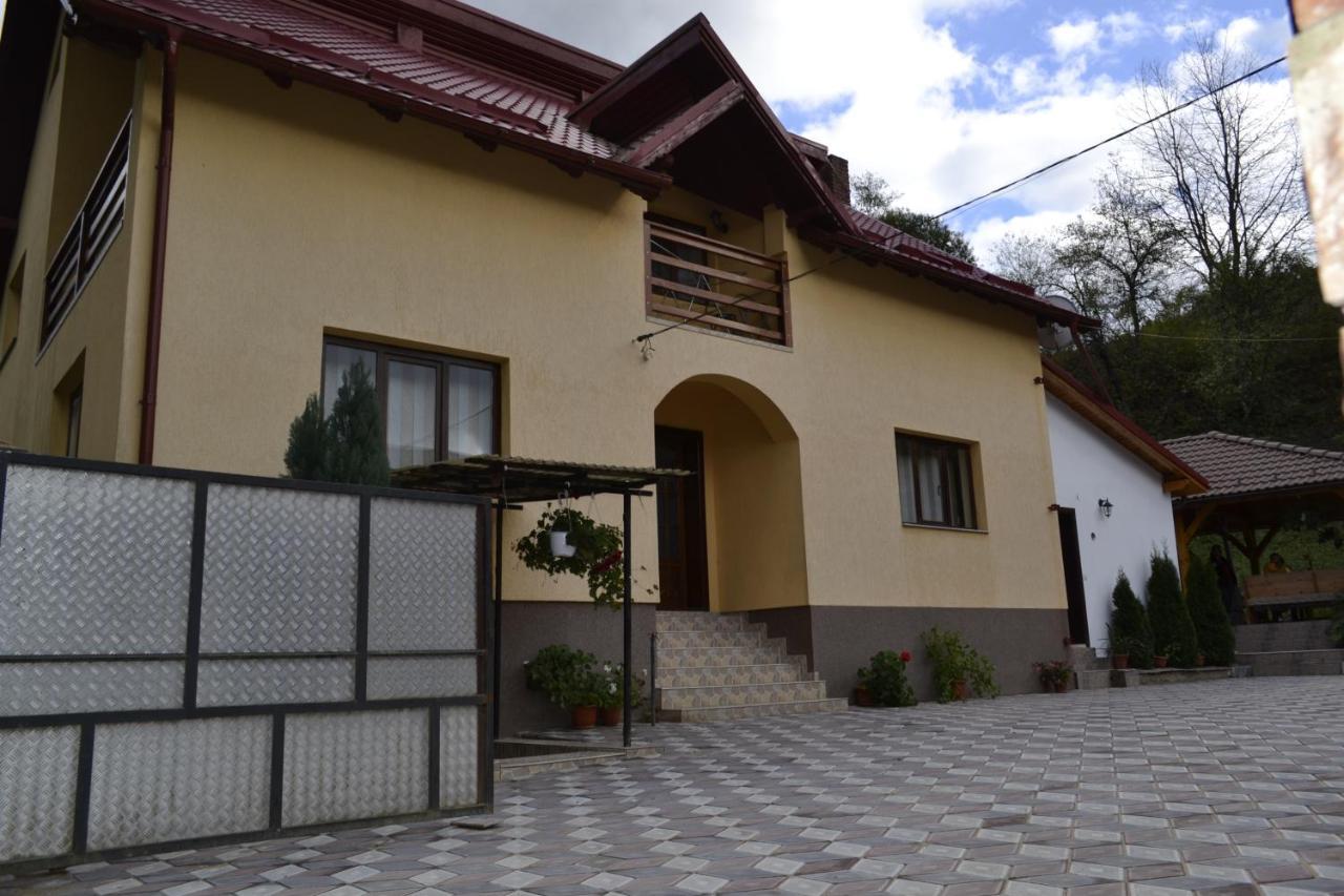 Pensiunea Malinul Bîrsana Exterior foto