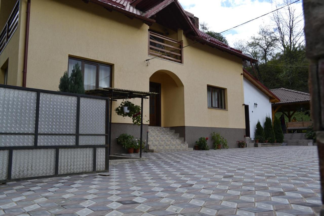 Pensiunea Malinul Bîrsana Exterior foto