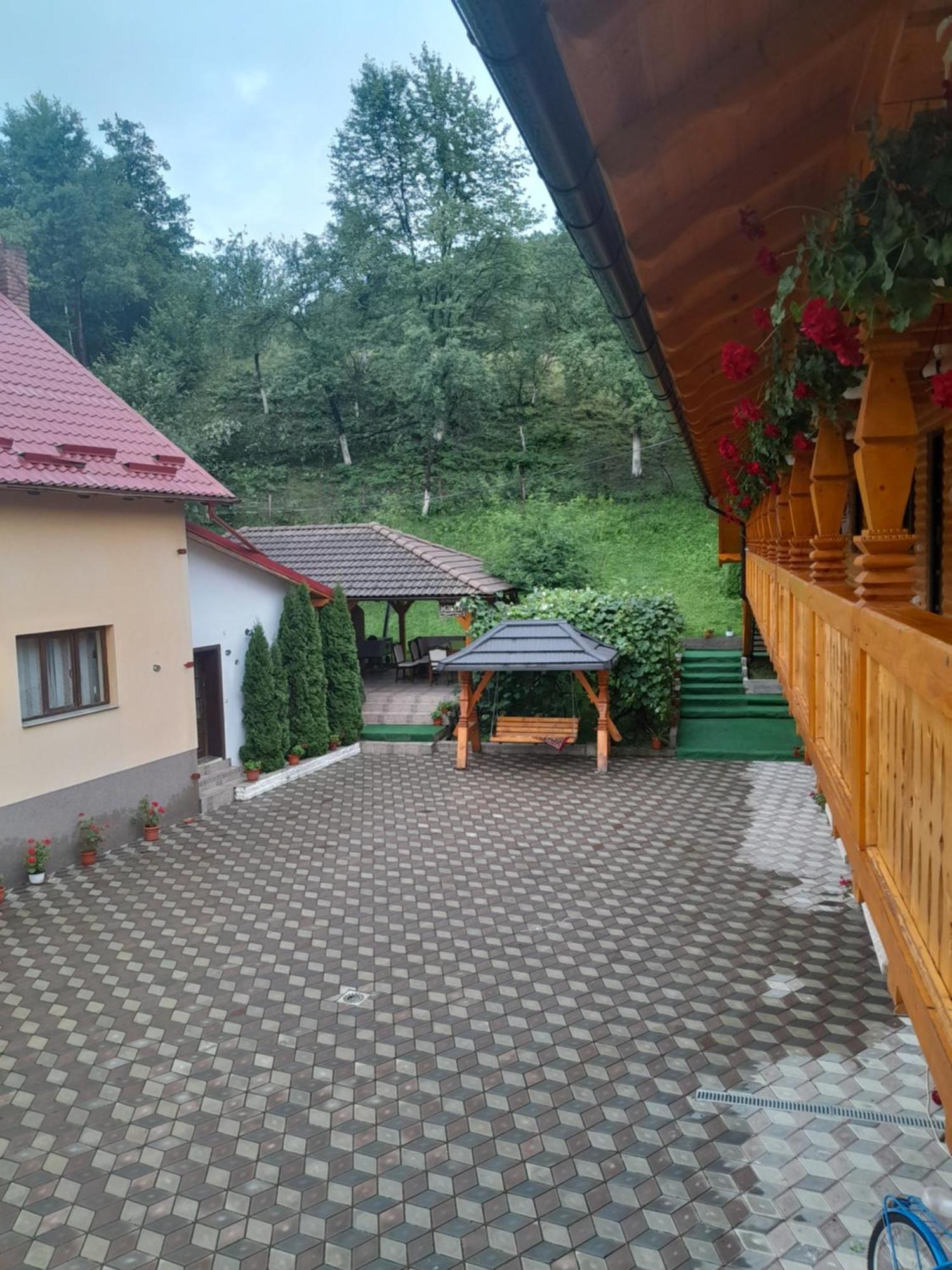 Pensiunea Malinul Bîrsana Exterior foto