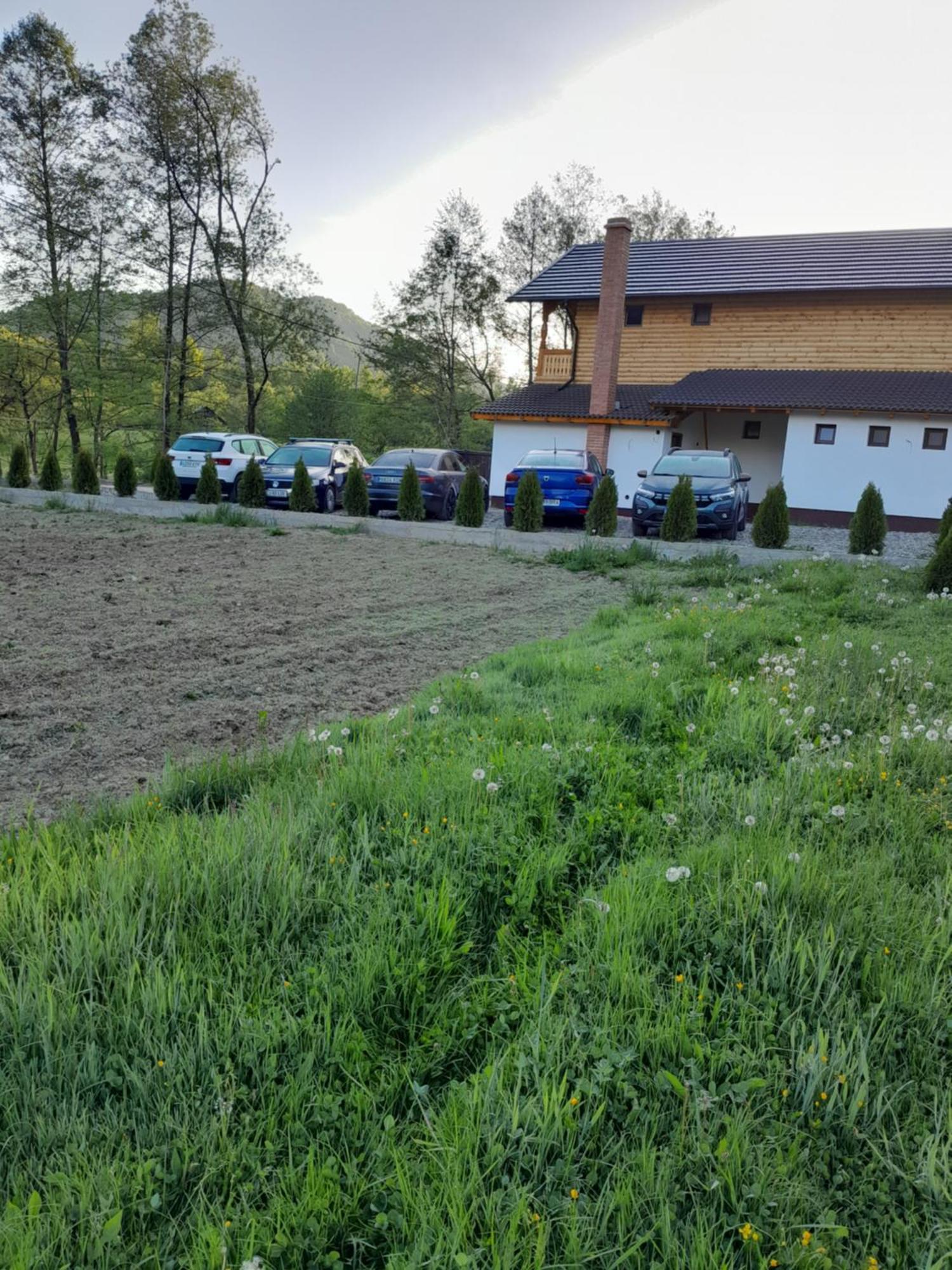 Pensiunea Malinul Bîrsana Exterior foto
