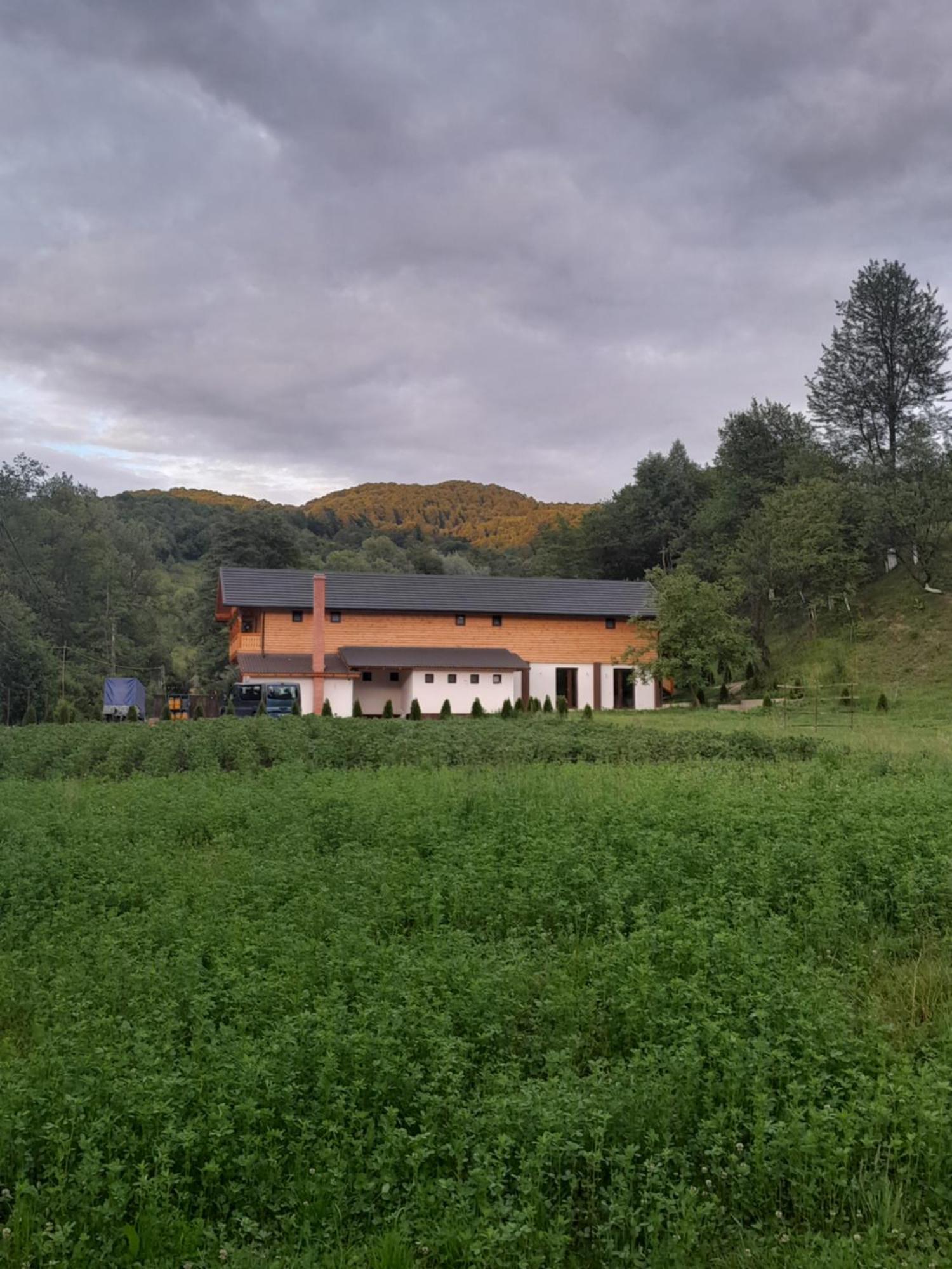 Pensiunea Malinul Bîrsana Exterior foto